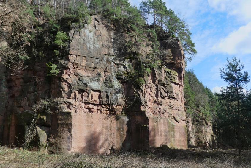 Sicht auf eine Wand des Steinbruchs bei Heimbach