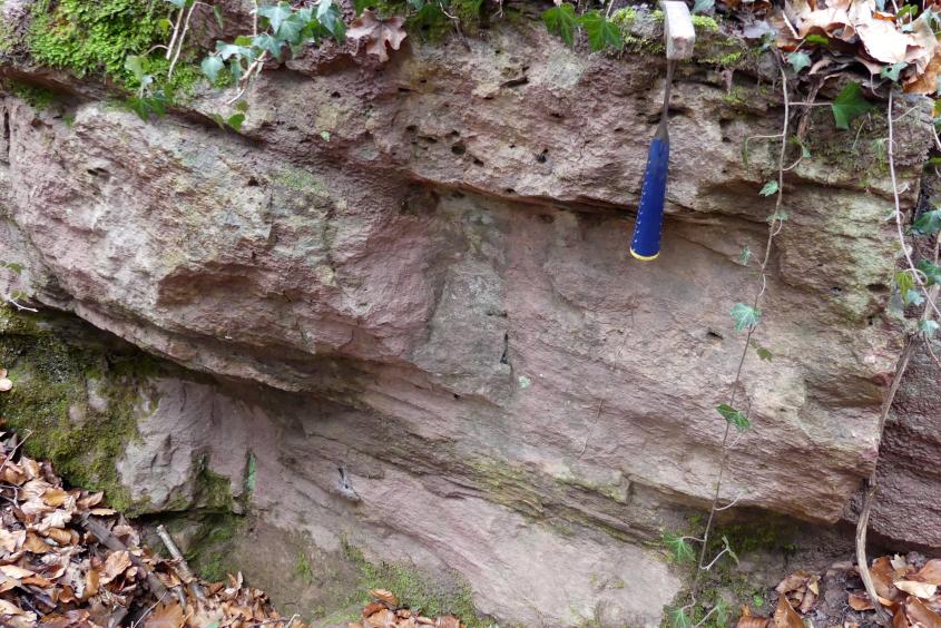 Reste einer Bruchwand des Steinbruchs in Wöpplinsberg