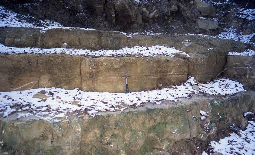 Blick auf Kalksandsteinbänke aus dem ehemaligen Steinbruch bei Pfaffenweiler